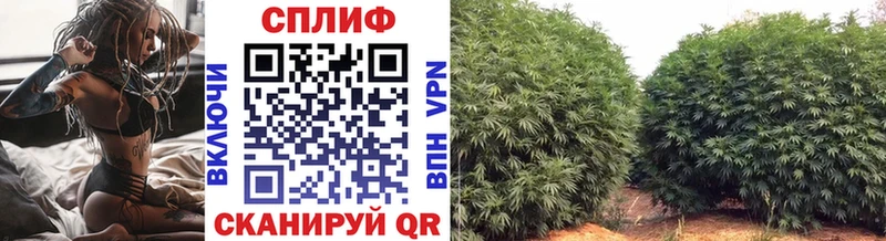 MEGA ТОР Спас-Деменск МАРИХУАНА Amnesia